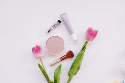 High angle view of pink flower on table against white background