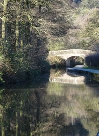 Reflection of trees on lake