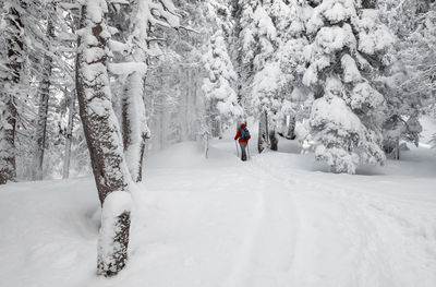 People skiing on snow covered landscape