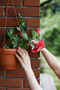 Cropped hand of woman holding flowering plants outdoors