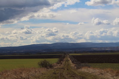 Scenic view of field and mountains against sky