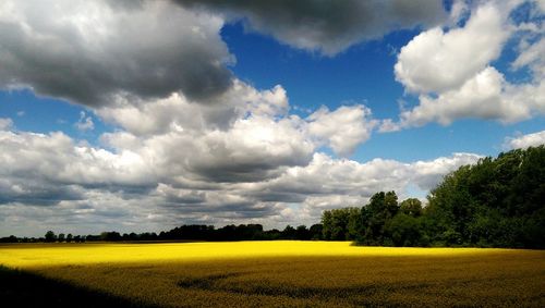 Scenic view of field against cloudy sky