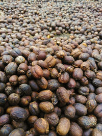 Full frame shot of coffee beans