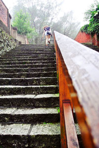 Man walking on staircase