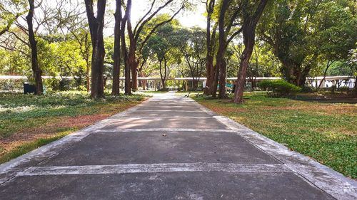 Road amidst trees in park