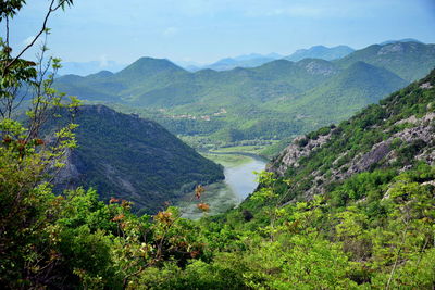 High angle view of trees and mountains against sky