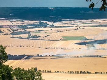 High angle view of agricultural field