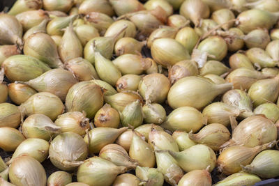 Full frame shot of onions for sale at market