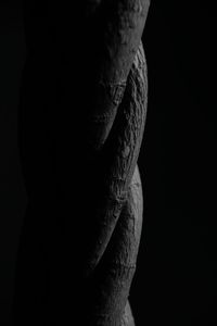 Close-up of object over black background