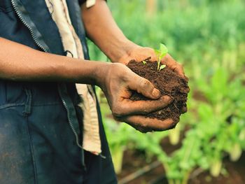 Midsection of man holding seedling outdoors