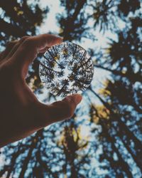Cropped hand holding crystal ball against trees