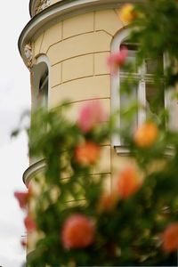 Close-up of glass of building