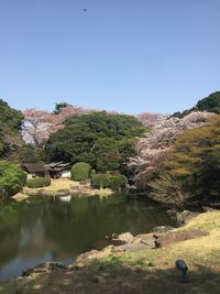 Scenic view of lake against clear sky