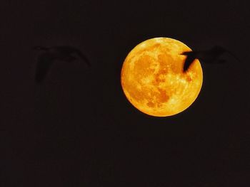 Orange moon against black background
