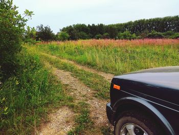 Scenic view of road amidst trees on field against sky