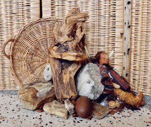 Close-up of lizard on wooden wall