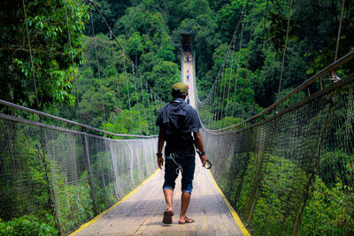 Rear view of man walking on footbridge in forest