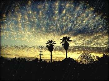 Low angle view of silhouette trees against sky at sunset