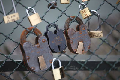 Close-up of chainlink fence