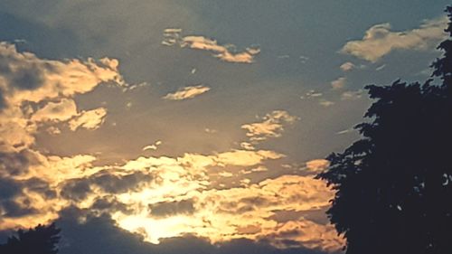 Low angle view of silhouette trees against sky during sunset