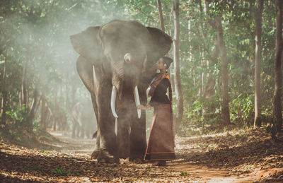 Full length of smiling woman standing with elephant in forest