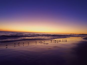 Scenic view of beach against sky during sunset