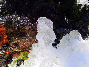 Close-up high angle view of water