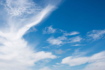 Low angle view of vapor trail in sky