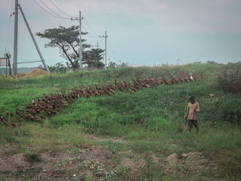 Rear view of man standing on field against sky