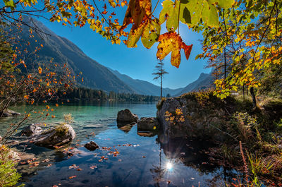 Scenic view of lake by autumn trees against sky