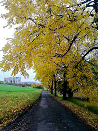 Road amidst trees during autumn