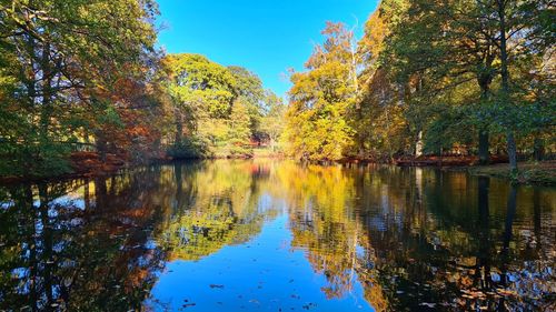 Scenic view of lake by trees during autumn
