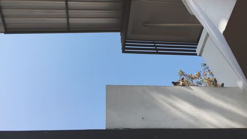 Low angle view of built structure against clear sky