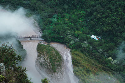 Scenic view of river amidst trees