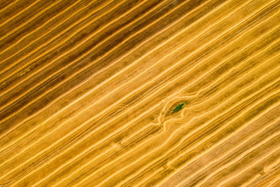 Aerial view of a freshly harvested wheat field. patterns of a cultivated farmland from above.