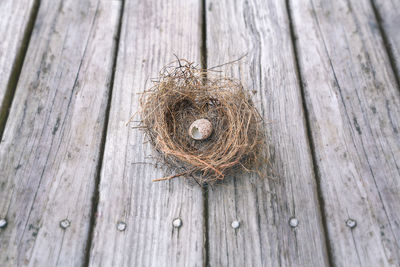 High angle view of bird on wooden post