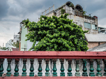 Low angle view of trees against building