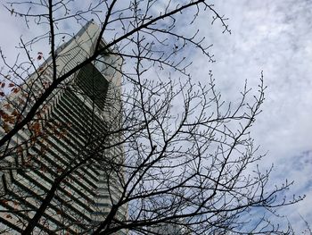 Low angle view of bird perching on tree against sky