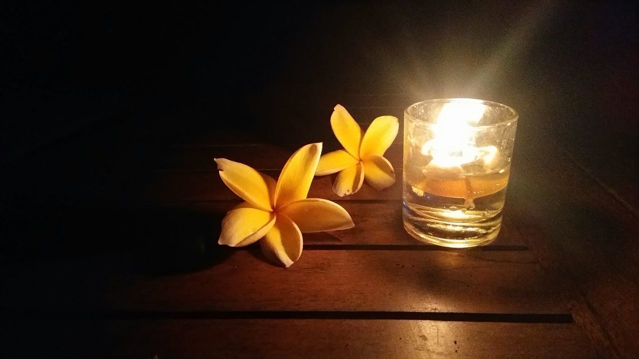 CLOSE-UP OF FLOWER ON TABLE