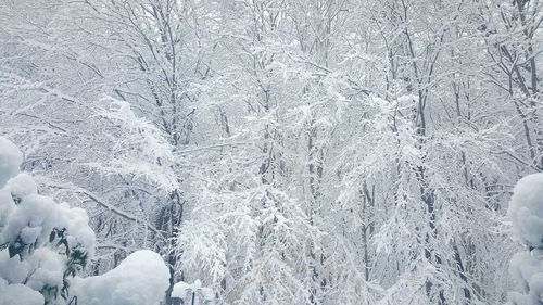 Close-up of snowflakes on snow covered landscape