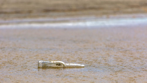 Close-up of water bottle on beach