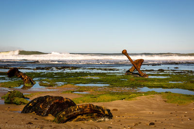 Man on beach against clear sky
