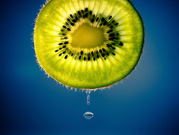 Close-up of lemon slice against blue background