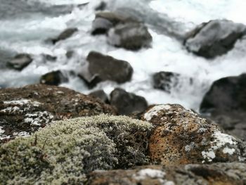 Close-up of rocks at shore