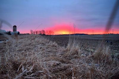 Scenic view of field against sky at sunset