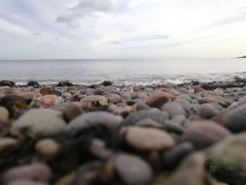 Surface level of pebble beach against sky