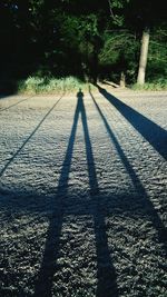 Shadow of person on tree