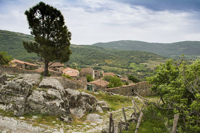 Scenic view of tree mountains against sky