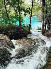 Stream flowing through rocks in forest