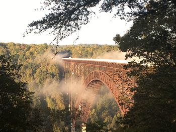 Arch bridge amidst trees in forest against sky